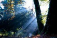 /album/galleria-foto-galleria-fotografica/effetti-di-luce-jpg/